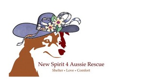 What organizations can you contact about Aussie rescue?